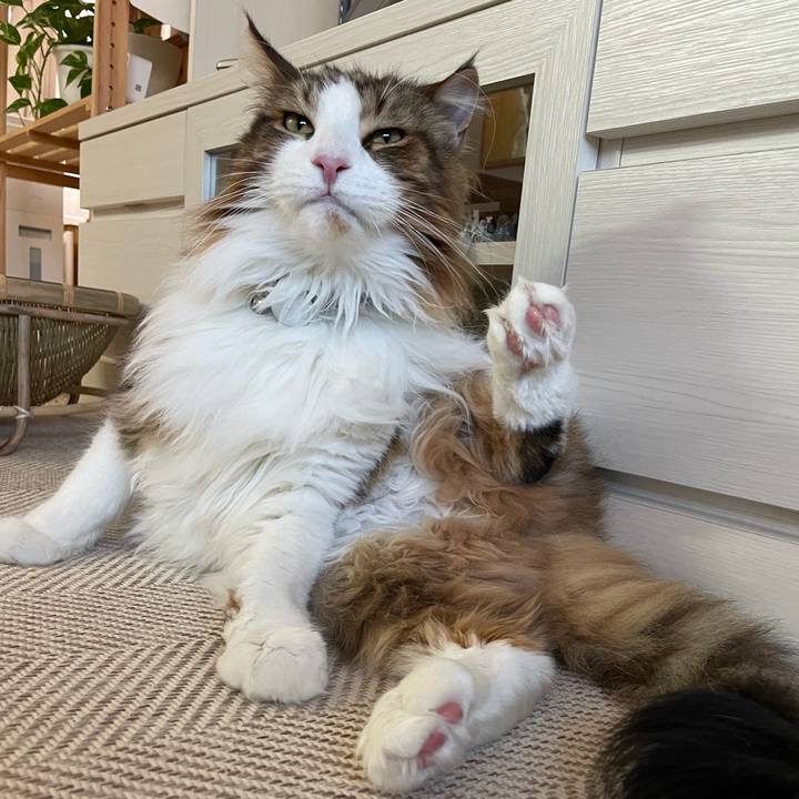 D08e4fd3 3a58 4efa b812 52f45e3fd6a9 1668636136779