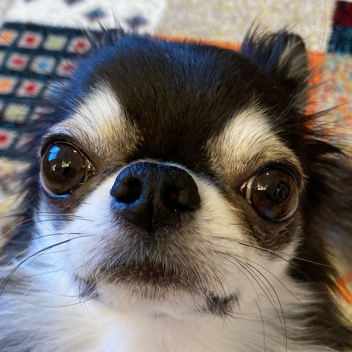 D08ea66c f298 4e48 b4f2 a47db05355e5 1707693808720