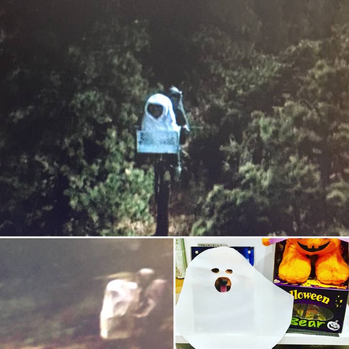 D08eab80 76c6 486a bbc5 3429bc66d613 1541593065979