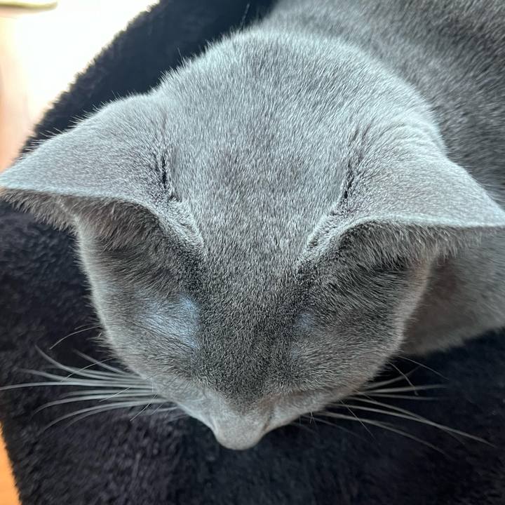 D08ee7f4 cf5b 4a6f ac0b 670803c377ce 1704514299330