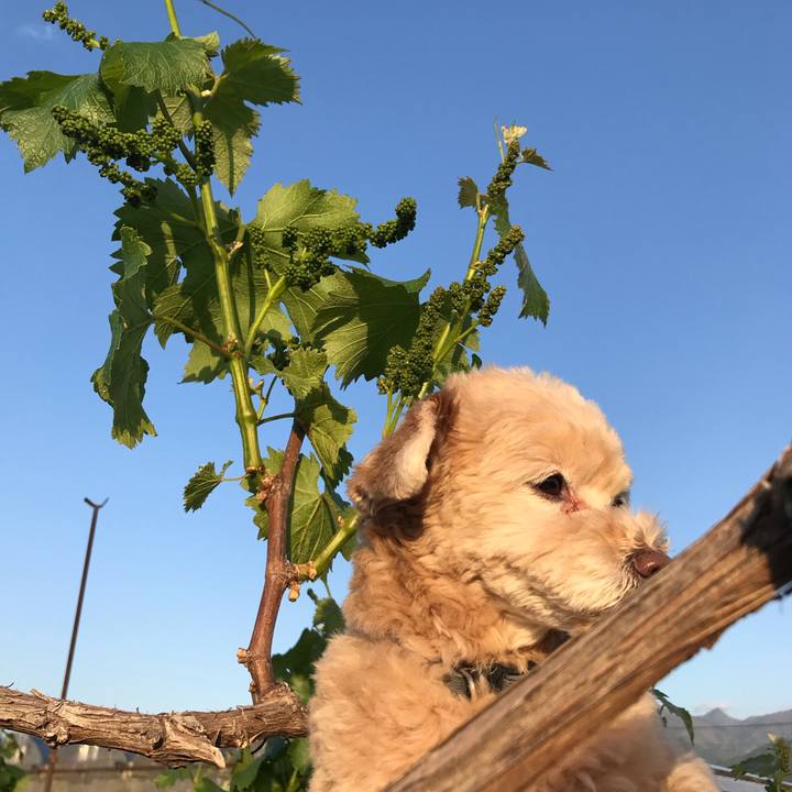 D08f298b ac94 4f30 a2d5 6a73a59567c7 1557063787314