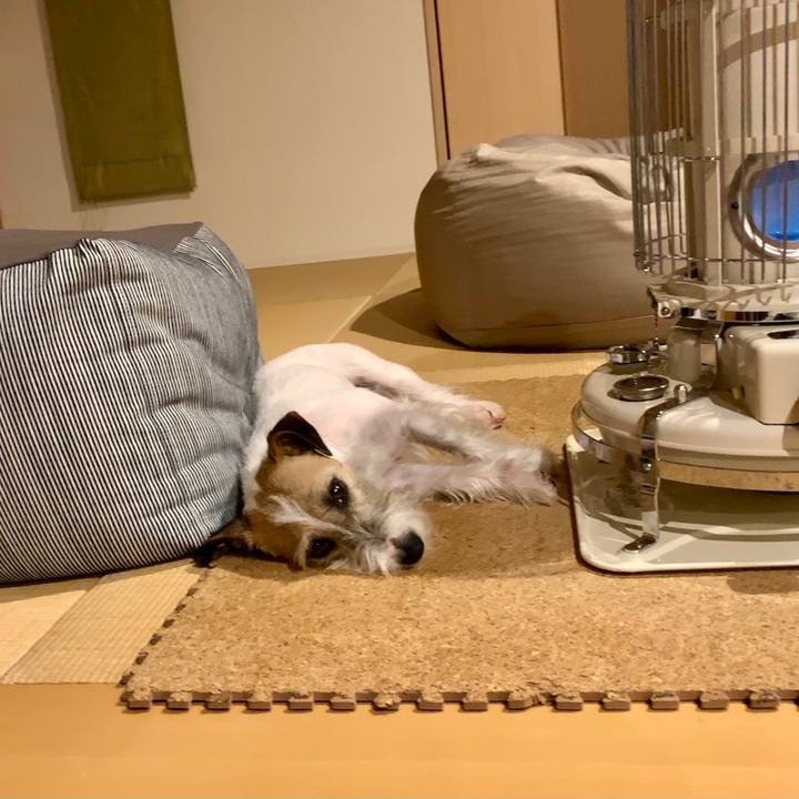 D08f4d9d 66ca 41a7 bf66 8032203488a6 1612975869511