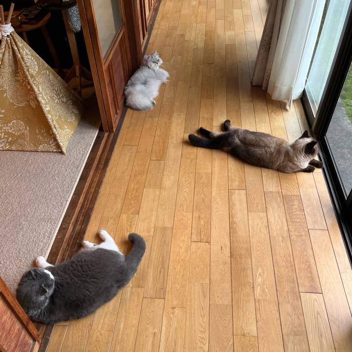 D08f580f 4be5 4df8 95a1 6e4f715d7248 1650931519295