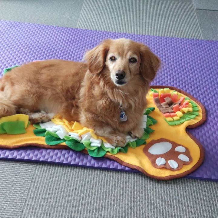 D08f74cd e188 4f67 acad 4c532fbfa3b6 1721216048099