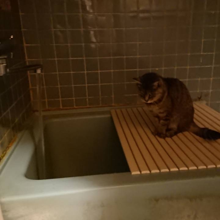 D08f88b8 6cb4 4430 a72b e9c64d9850be 1574240242531