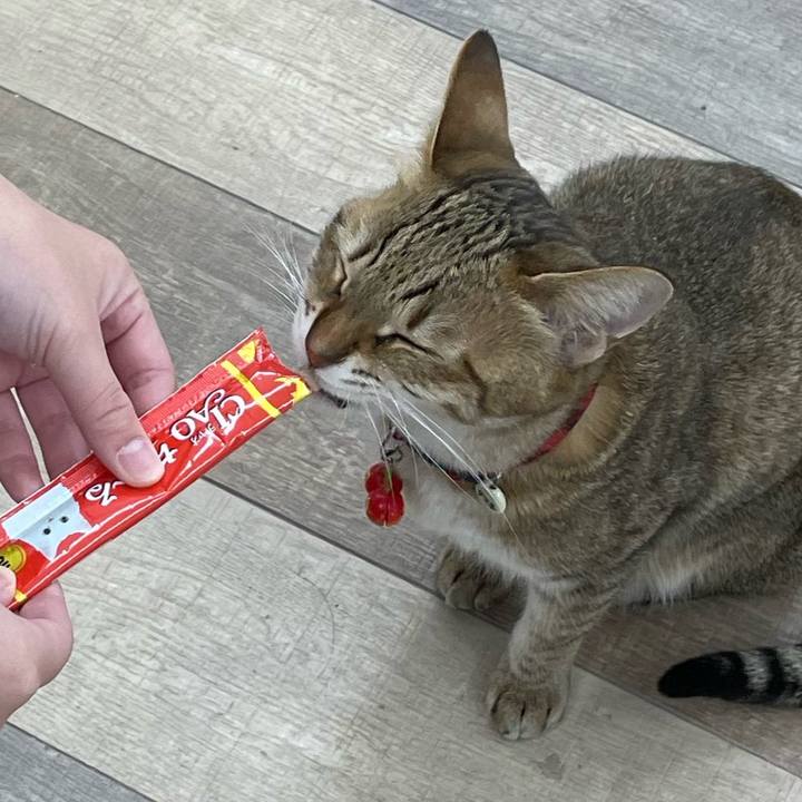 D08fa3cd f607 4010 b29f e8697bc01ac6 1672237214515