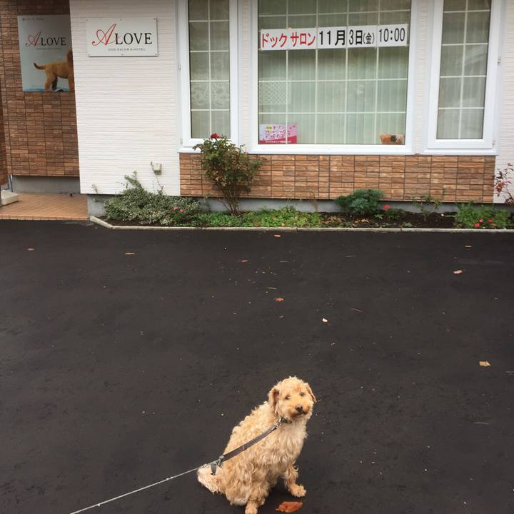 D08fb9ab bd7b 4786 ba3a 9a98f6561caa 1509760999727