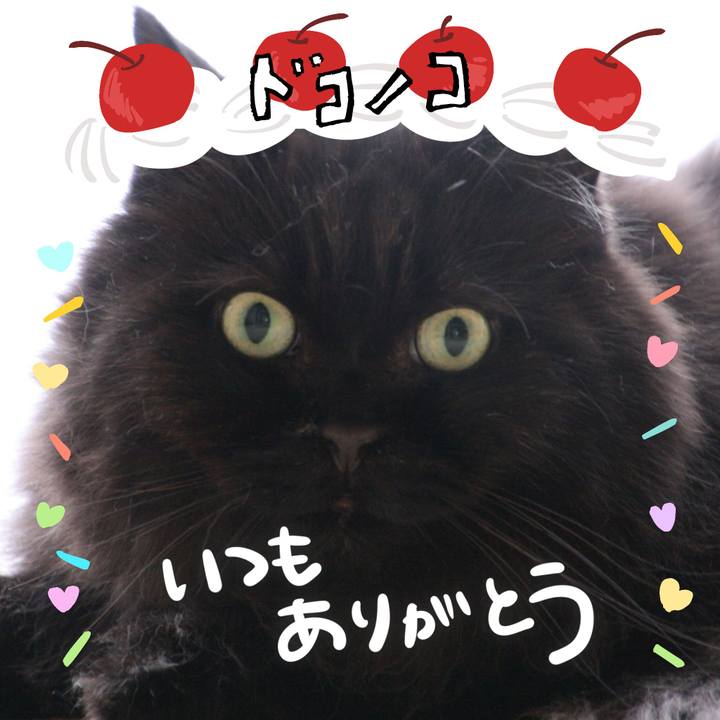 D08fbd7e 2df2 4b0c 922b 4dbd09040b58 1685958236267