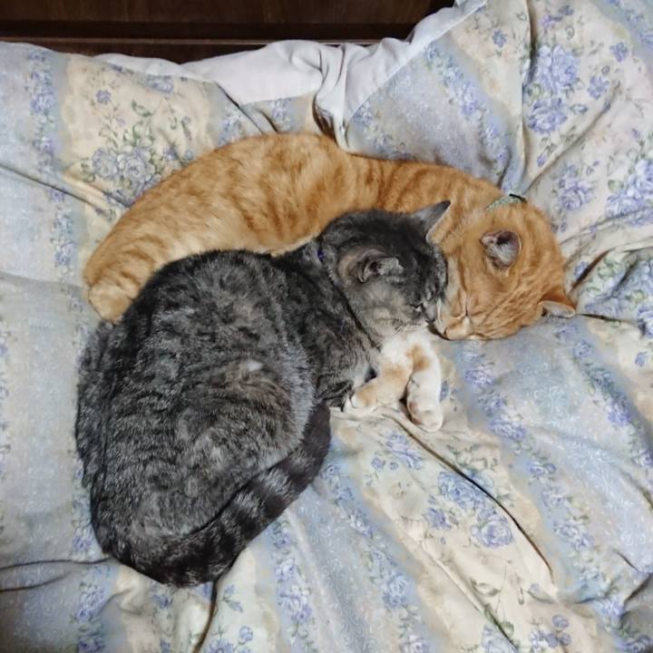 D08feed2 a210 43ff bcf8 ccfed2476d1f 1583584383708