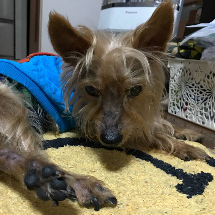 D09000d2 04b0 4c38 84cc a71879f7fc58 1519131226902