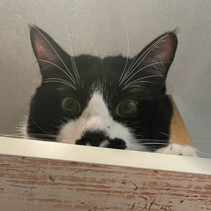 D0900470 821f 4c99 b452 da8d2635826b 1670418929959