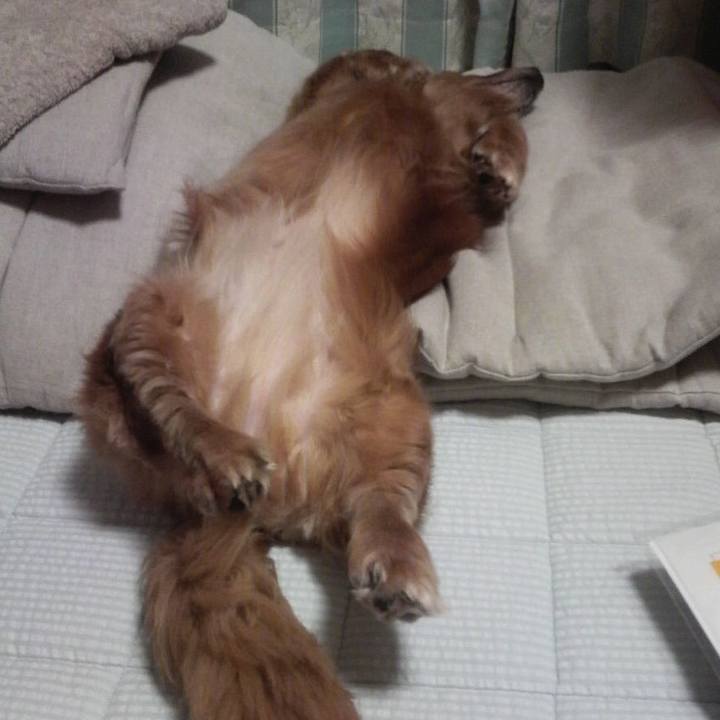 D0906b34 ccaf 4108 ab7c 1d20bd0b93f1 1548427447872