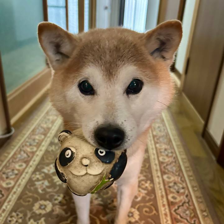 D0908c84 abed 4ddd 8b4c 7673b11e7a64 1738495189364