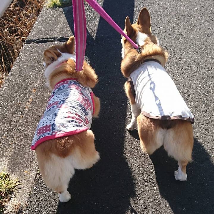 D0908d41 f01b 45c6 a903 64e42382c220 1515746534047