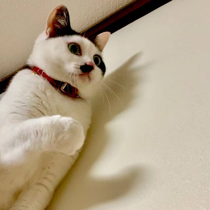 D090a8ca 4b59 4d4c ba75 fc43c1657c59 1545442988507