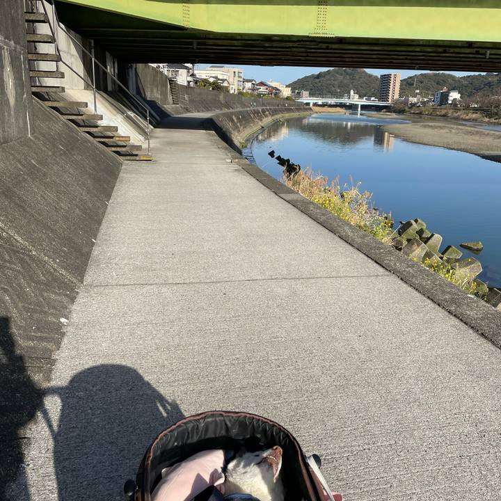 D090acc0 d33d 47f9 a2ae 59f052215e29 1678795761488