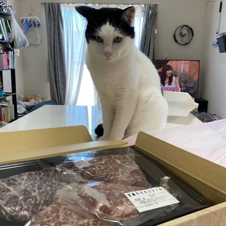 D090b567 c69d 48fc 801b 3ae38e079dda 1629338929992