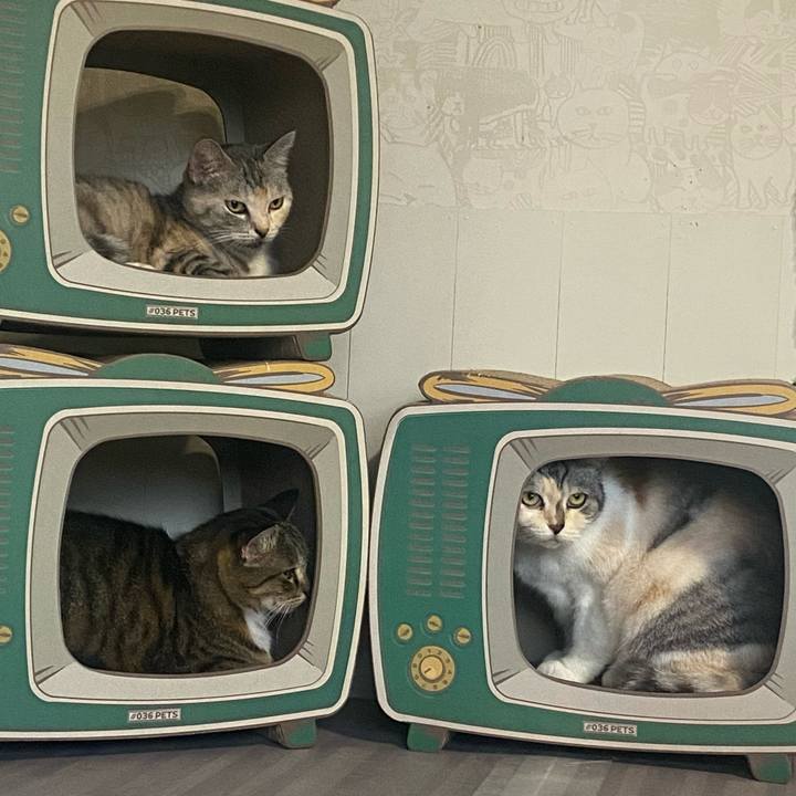 D091030f cab2 4fe2 9207 5b6b5141e416 1633070949471