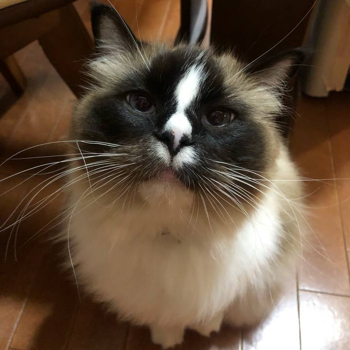 D091266c bb5d 4f69 be49 eed0c303022b 1557151183057