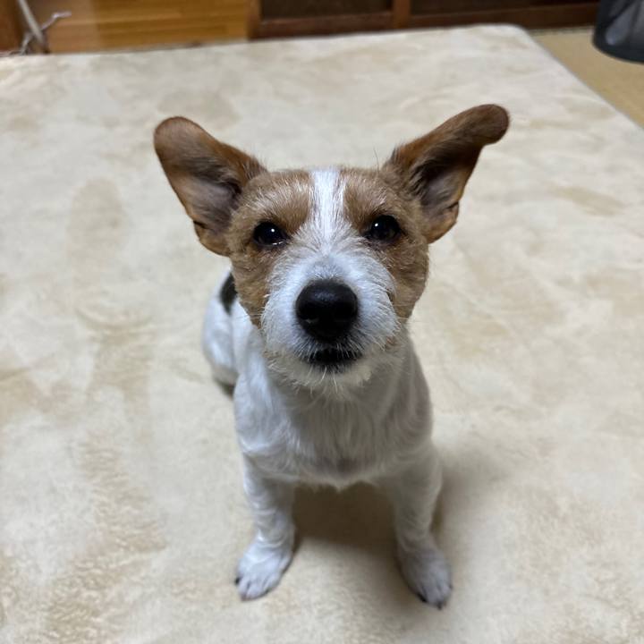 D0916b88 7628 4bae 9028 f86a2ea8bcbf 1769983284576