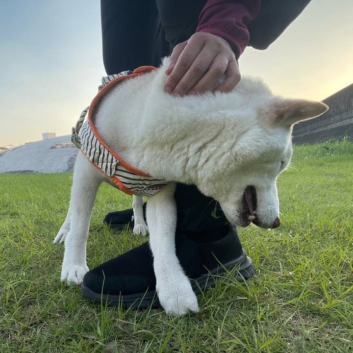 D09187b4 bcda 405d 8023 2e5014467dec 1656679963297