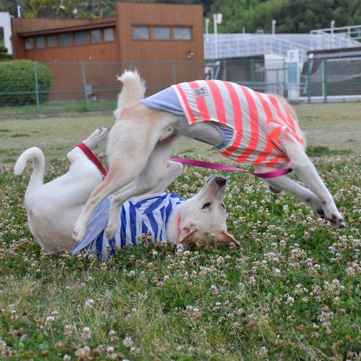 D091c126 489a 47ec aab3 6f1916c8907a 1528025650533