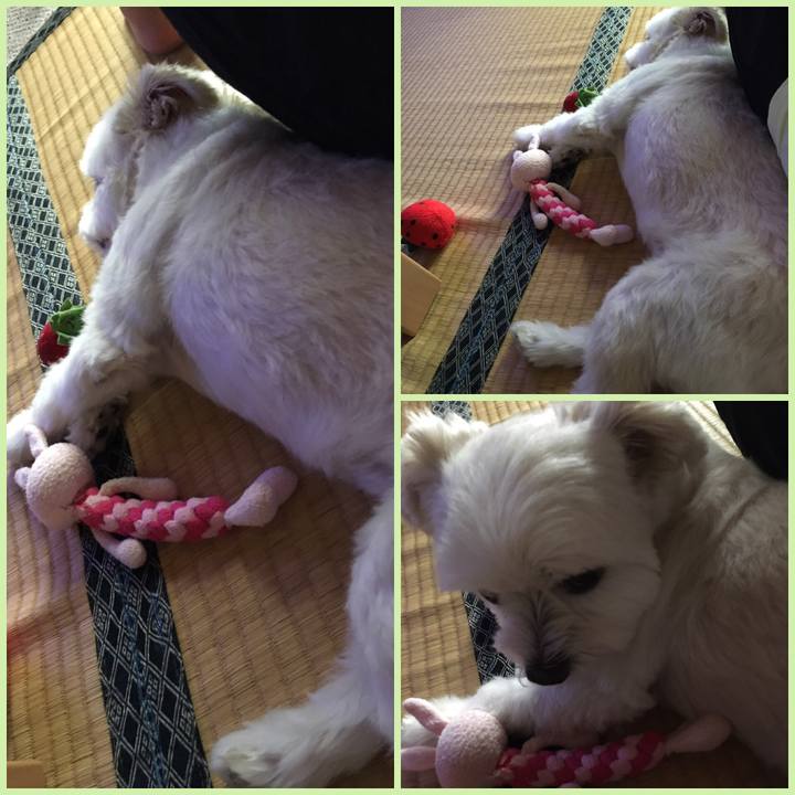 D091c301 f325 45fd 80e9 fac27becb183 1565760224426