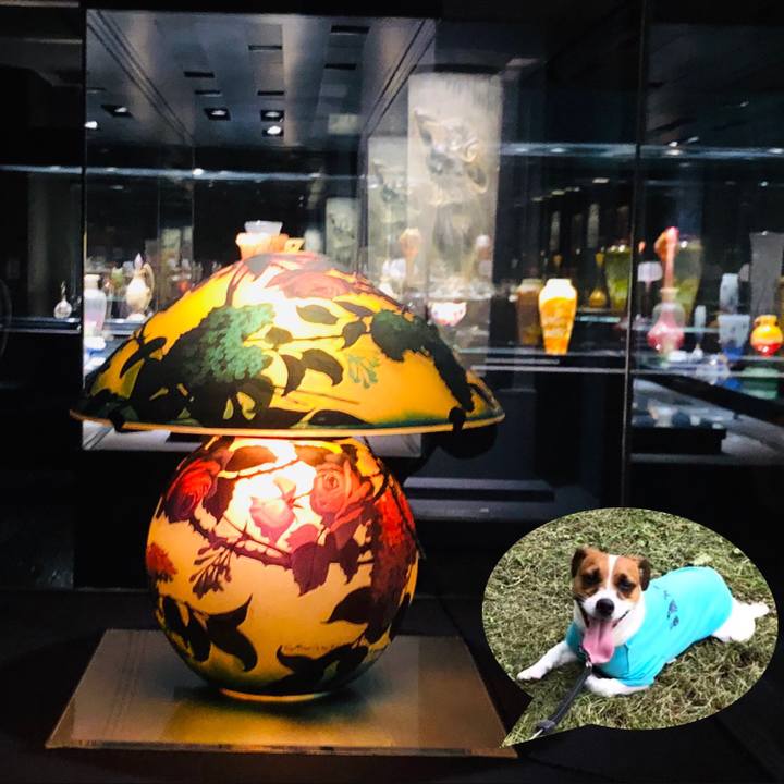 D091e6c3 fc2b 4978 bc8e f75f6fdba682 1564778406753