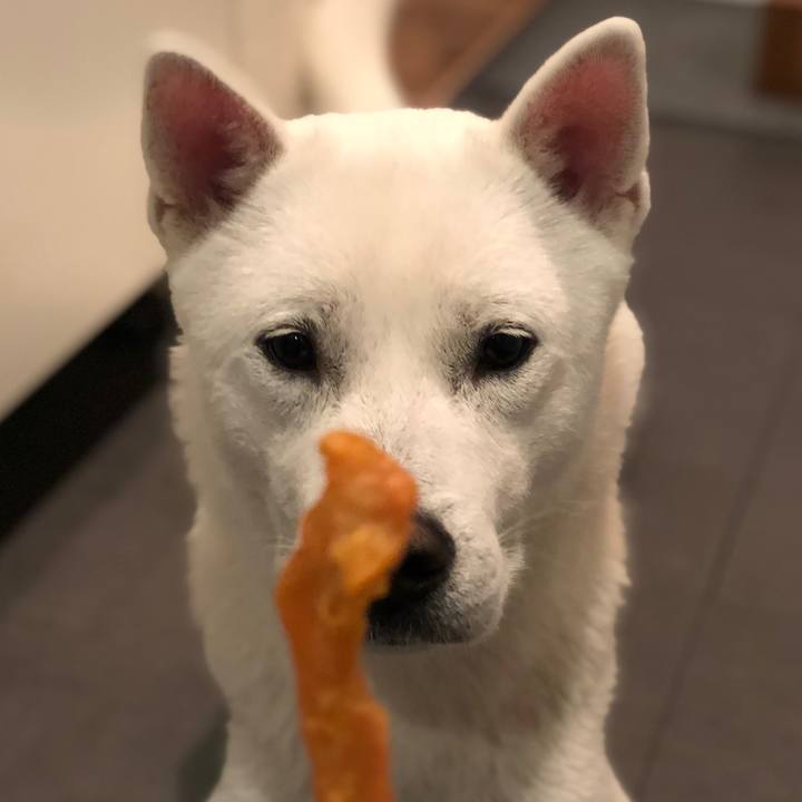 D091f2ce 7697 47fa ae26 e406b5eeb02f 1571394221916