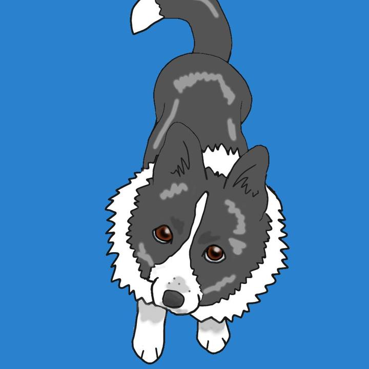 D0922148 2157 413d b423 d43522f305d3 1664087857383