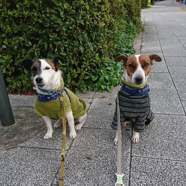 D09225f5 8d5d 4206 9cd3 2743d1af96c7 1604270196628