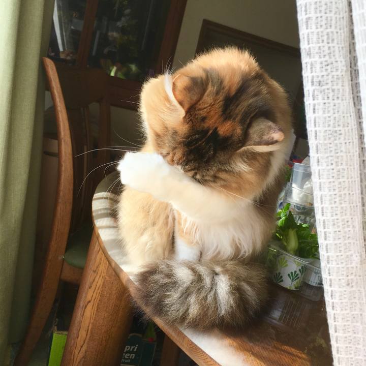 D09238ca 6d5d 425c bc1e 721407543443 1554100087933