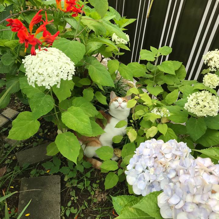 D09252a0 db7b 49ff 8f0d 9b5d6bc6ca00 1531039589863