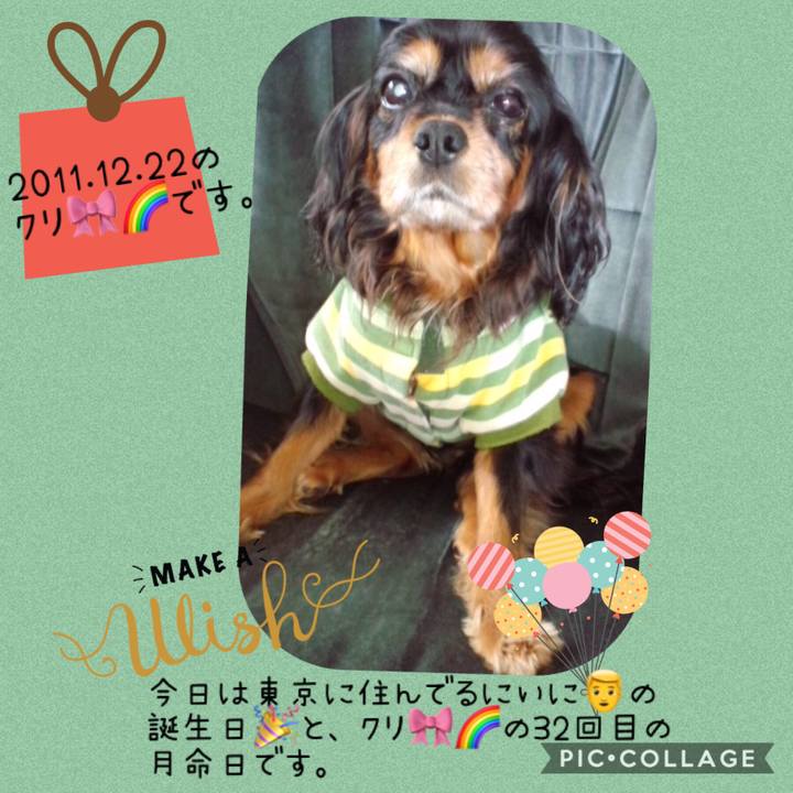 D0926c12 f152 46a1 b553 26baf08c1a84 1545433881908