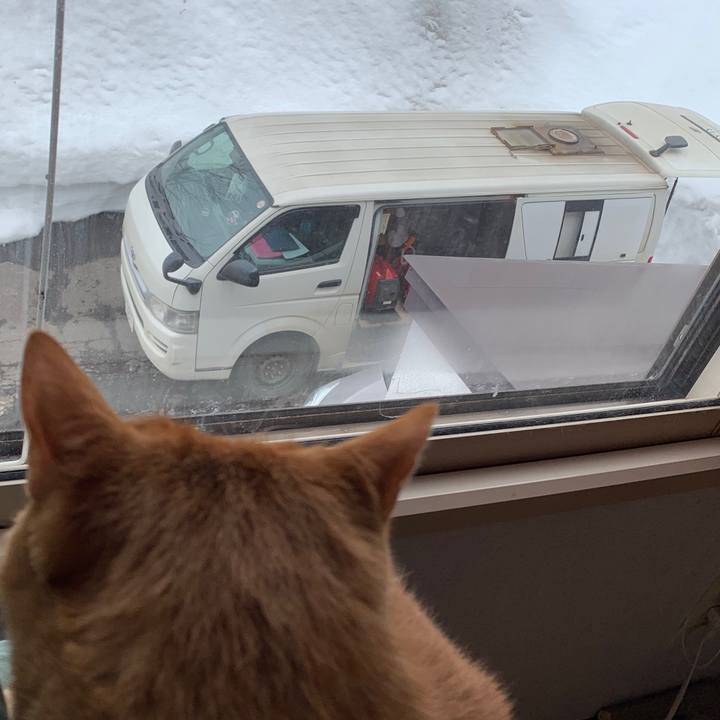 D09270ef dc74 4e47 a26b 69125974bb61 1647672965976