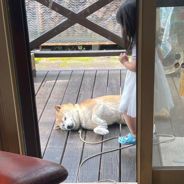 D0927413 d86c 4483 a5bb d3f2bb9cc9d9 1686361996594