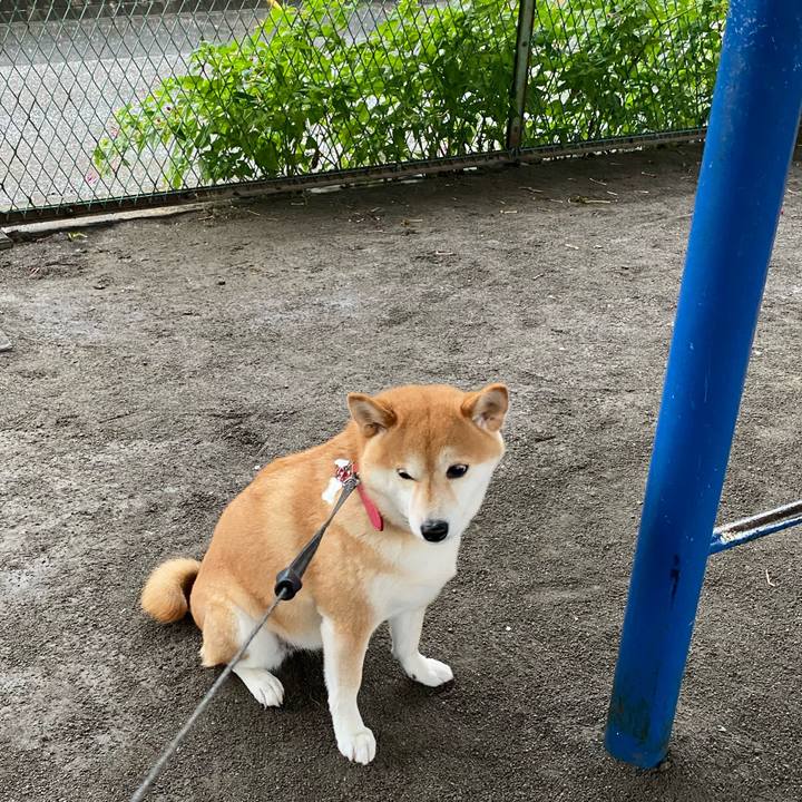 D0928401 34fa 4321 8619 dc1cba79a204 1594001526674