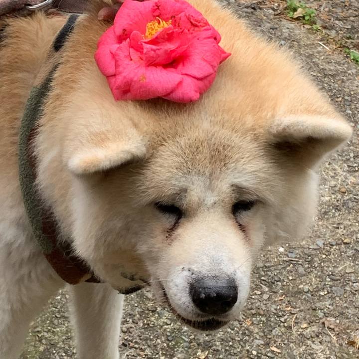 D092d0f6 5fe7 4afa b85d e3de78f49aa8 1639825343427