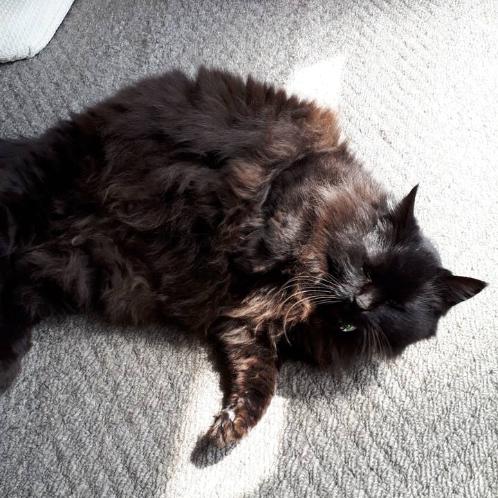 D092d3c9 9fdb 4259 b965 5f0751852d64 1522547723299