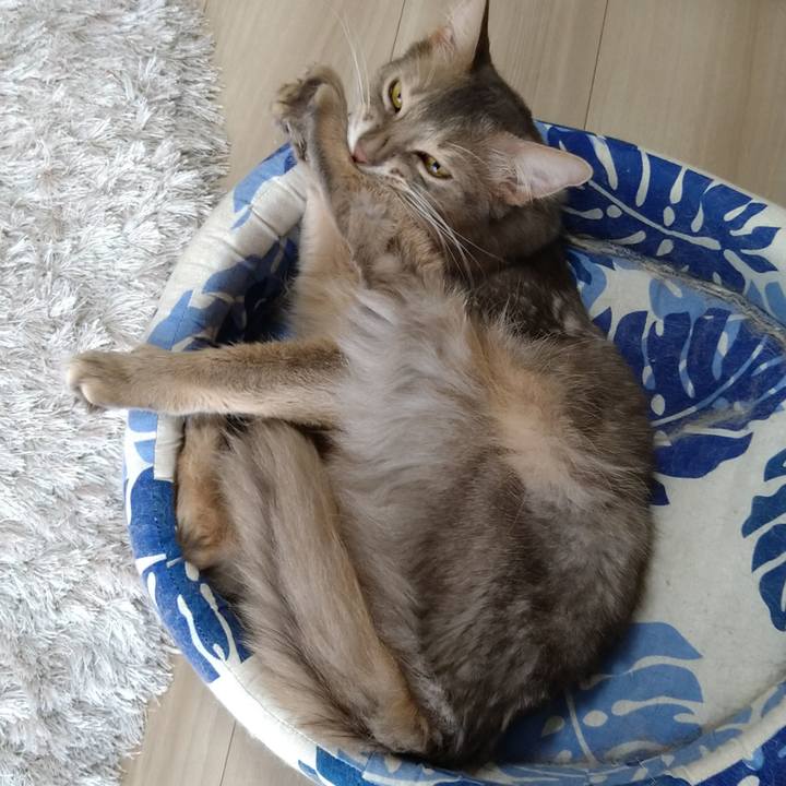 D092edfb fc40 4de8 9dab 7bf7ce433794 1606528018370