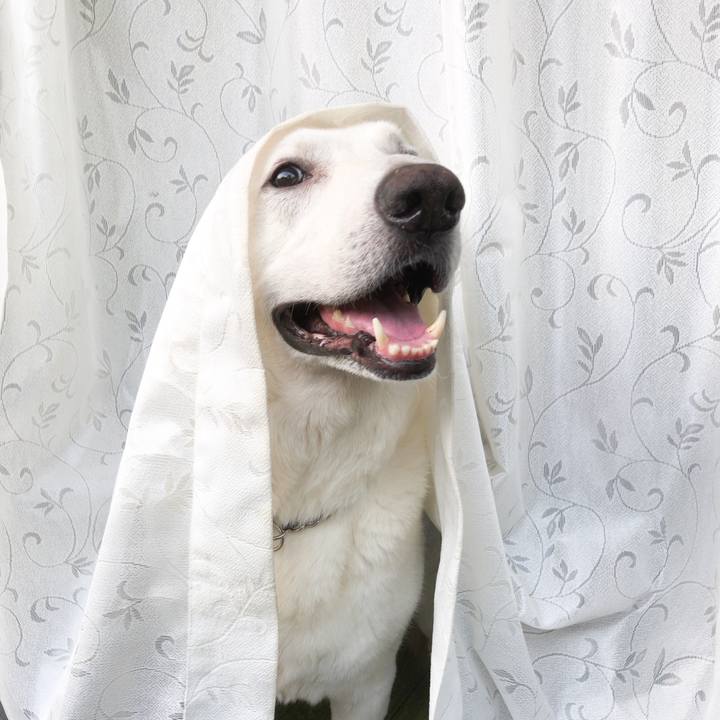 D092f445 5d65 4e76 a1f0 82e1174afa41 1531472784100