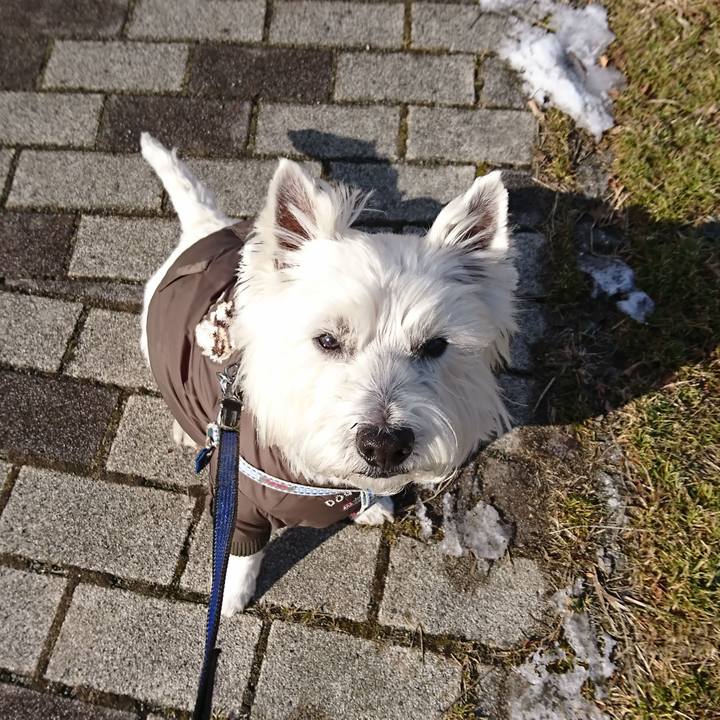 D093057f 7441 41e9 a04e ebdb205314ab 1547042589699