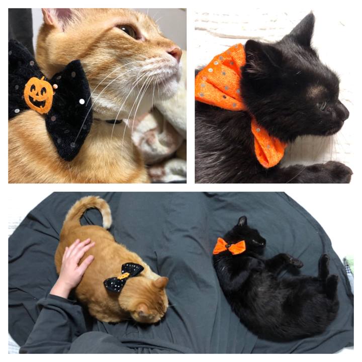 D09325da 6302 4056 8749 b31dba9e19cf 1601725235430