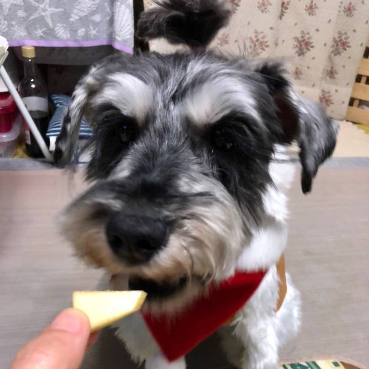 D0933ccb 516e 4951 bfa2 afc60bb11ccc 1640347233982