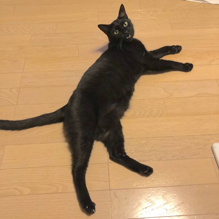 D09359c5 1ee2 495a ab4b 8fbbb27ced7d 1536664960984