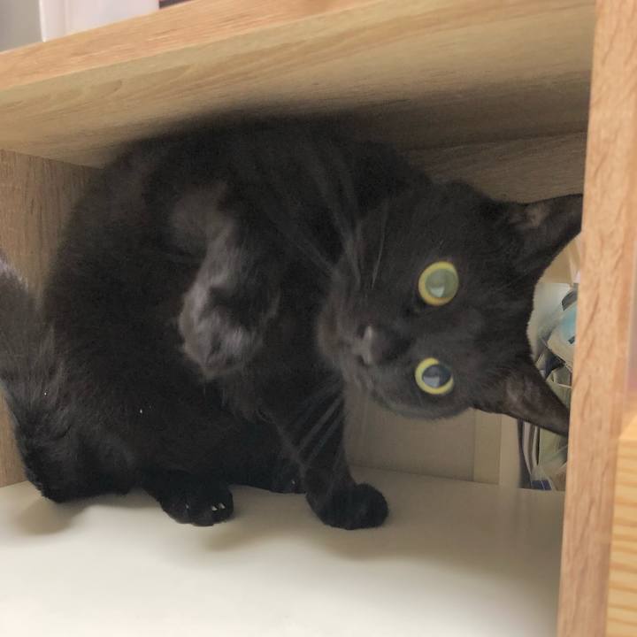 D0944472 cbff 4c9d b950 c247b78f1291 1620638682746