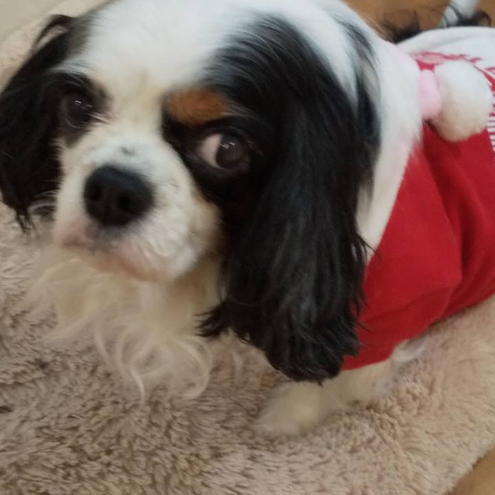 D094507d f241 4037 a61e d7c6d17a5067 1641700186977