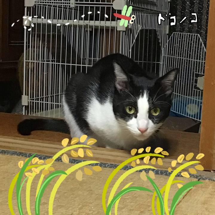 D0946c84 c428 4a9d b5ab 5cac35b21934 1761728669097