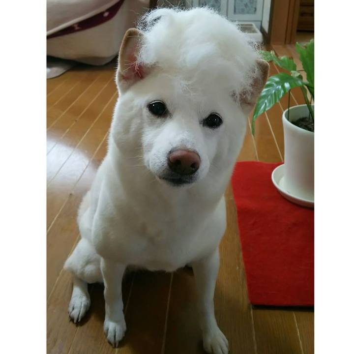 D094e78c 1e73 4fbc 91b7 ce43ce759ba2 1517801603825