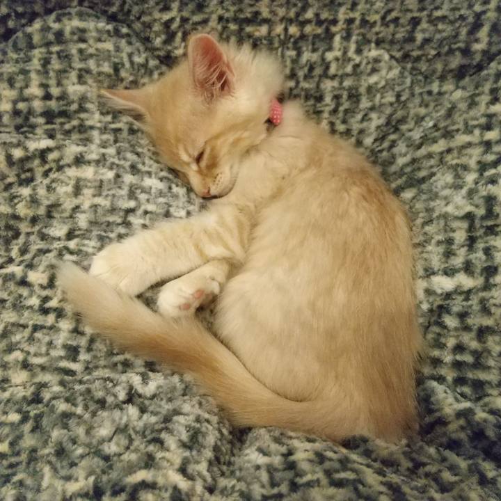 D094f7fc 0805 48c5 854e 38ae5f07a22f 1604157087312